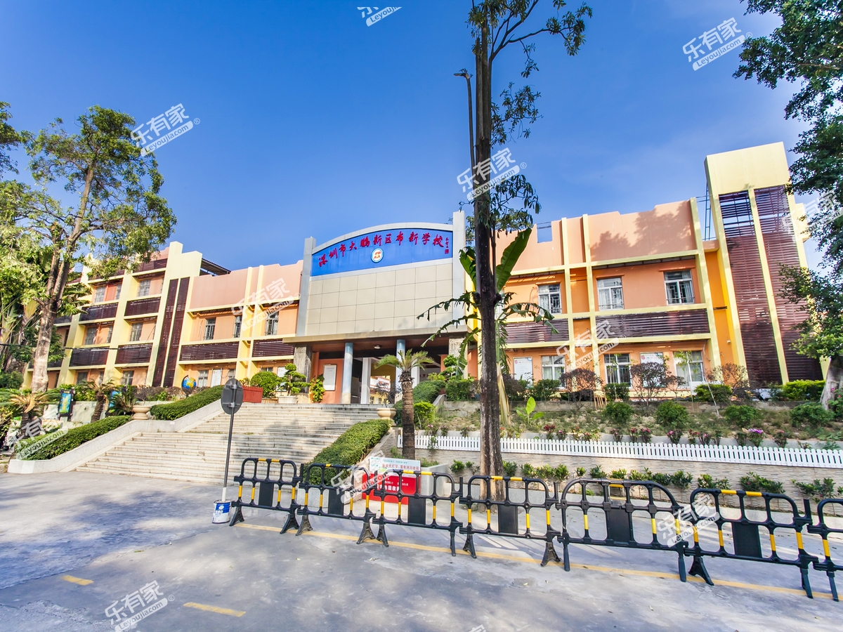 大鹏新区布新学校招聘小学语文、数学、初中语文、体育教师各1名