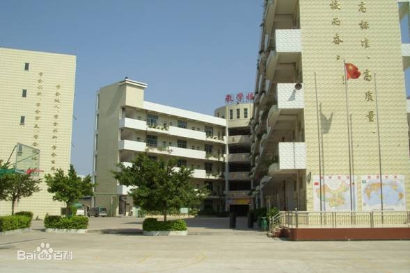 龙岗区名星学校诚聘中小学教师