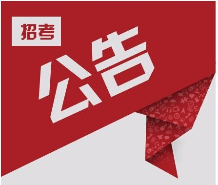 大鹏新区大鹏第二小学公开招聘编外聘用人员拟聘人员名单的公示