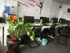 -/enterprise/appearance/tiny/n_v29864584b3e6047af9204277e9214cde2.jpg