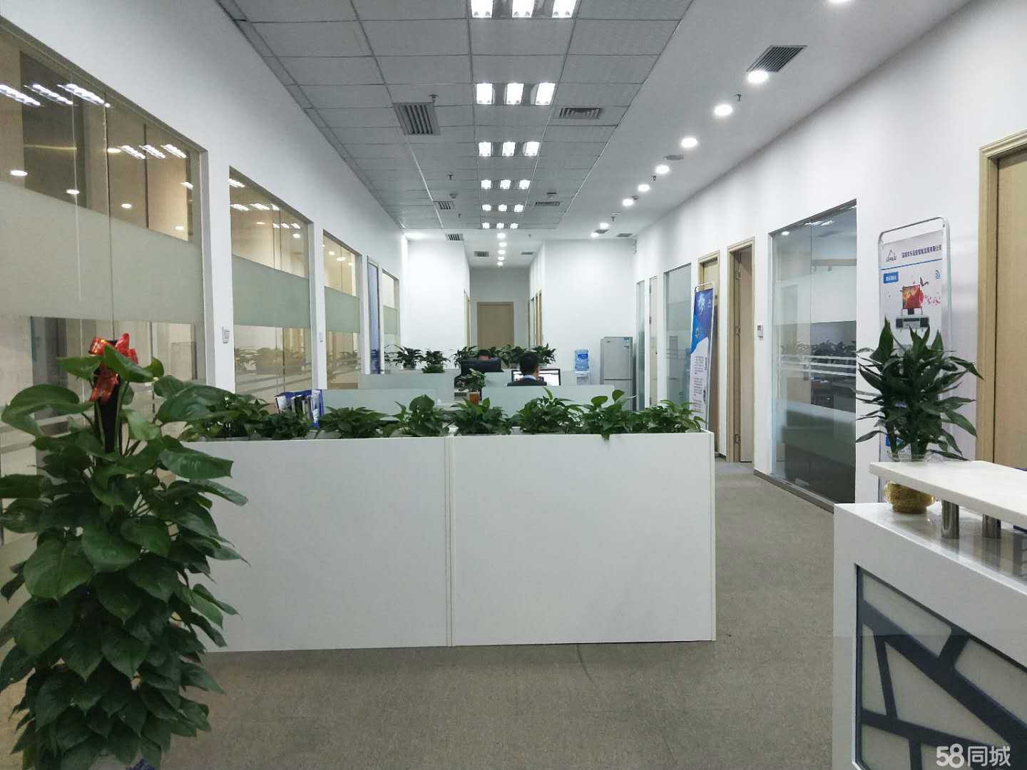 -/enterprise/appearance/big/n_v220fda8f3f11142928a4cf3bc23320bdb.jpg