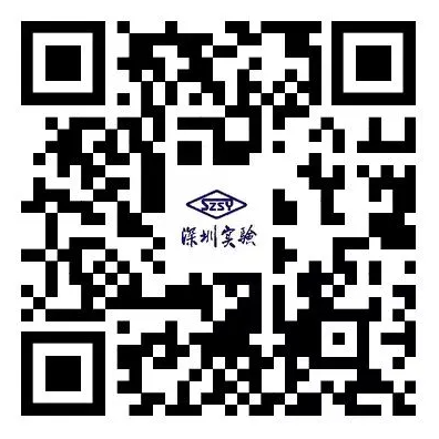 20241224082656487.png